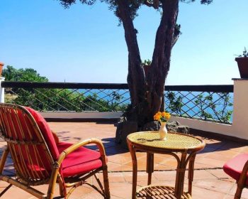 Terrazza panormica Resort Punto Azzurro Ischia